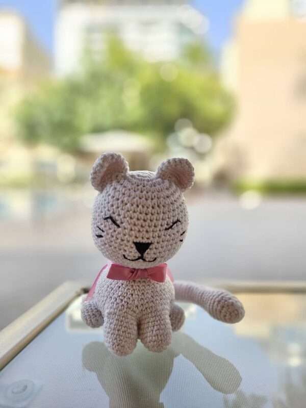 Crochet Kitty Toy